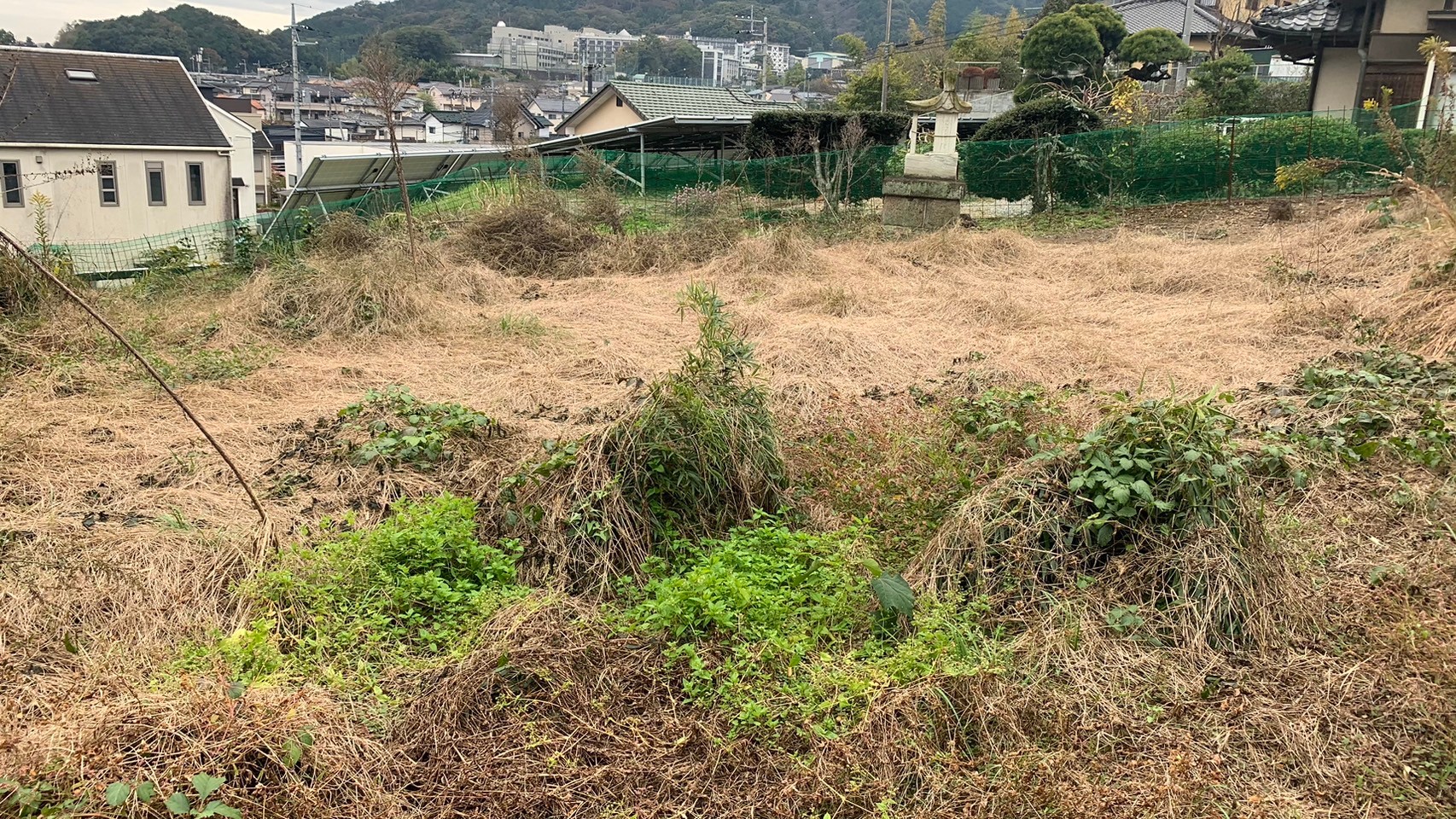 一般住宅の造園工事／栃木県栃木市