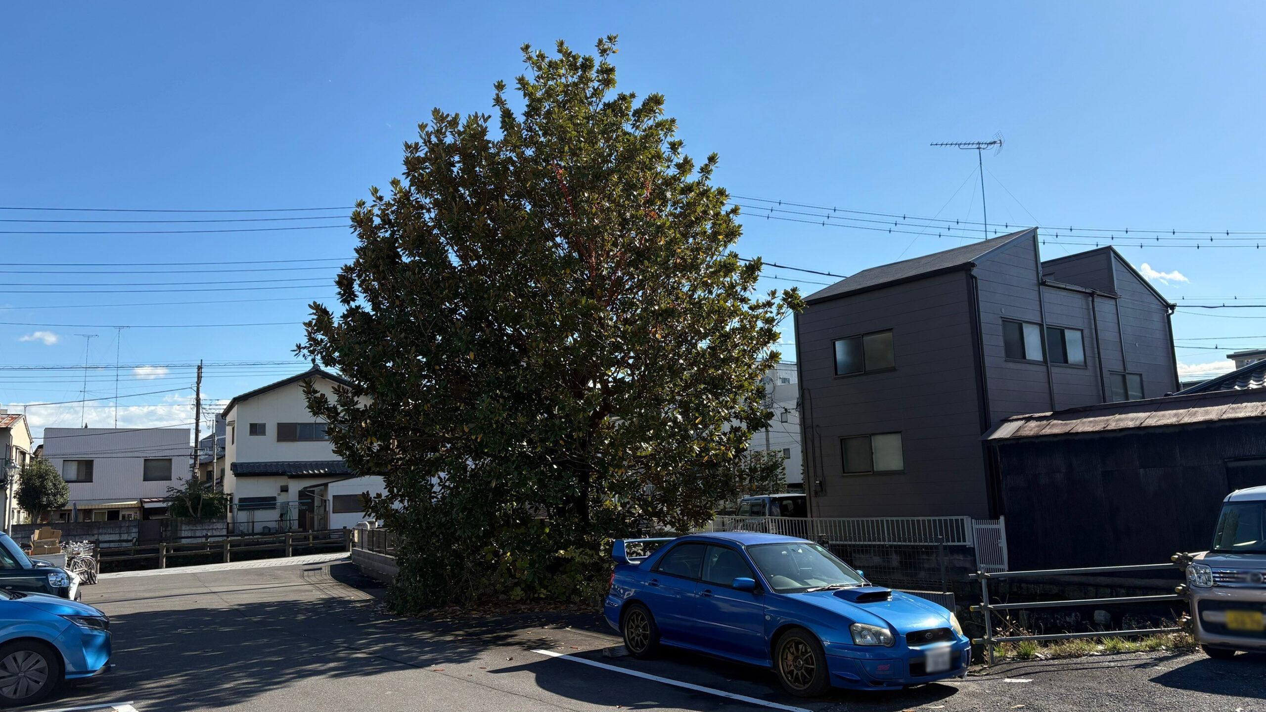 一般住宅の造園工事／栃木県栃木市