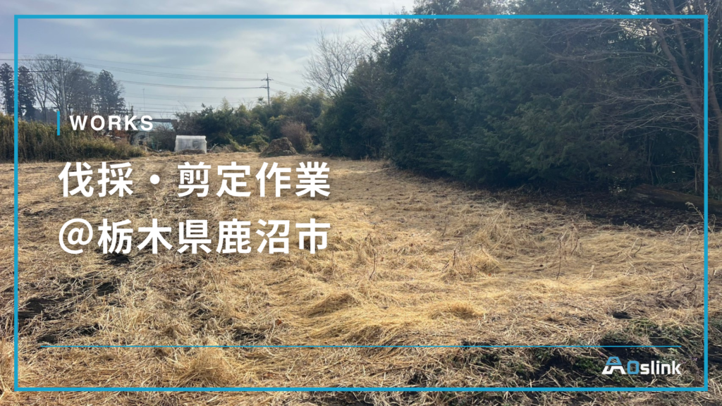 伐採・剪定作業＠栃木県鹿沼市