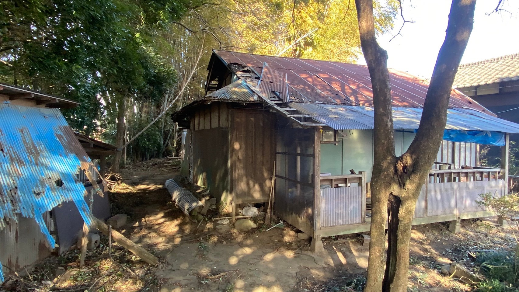 竹藪伐採／残置物撤去・処分／解体工事＠栃木県栃木市