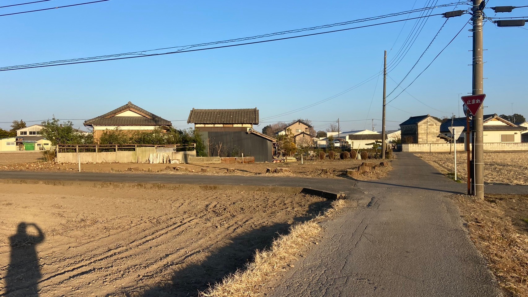 竹藪伐採／残置物撤去・処分／解体工事＠栃木県栃木市