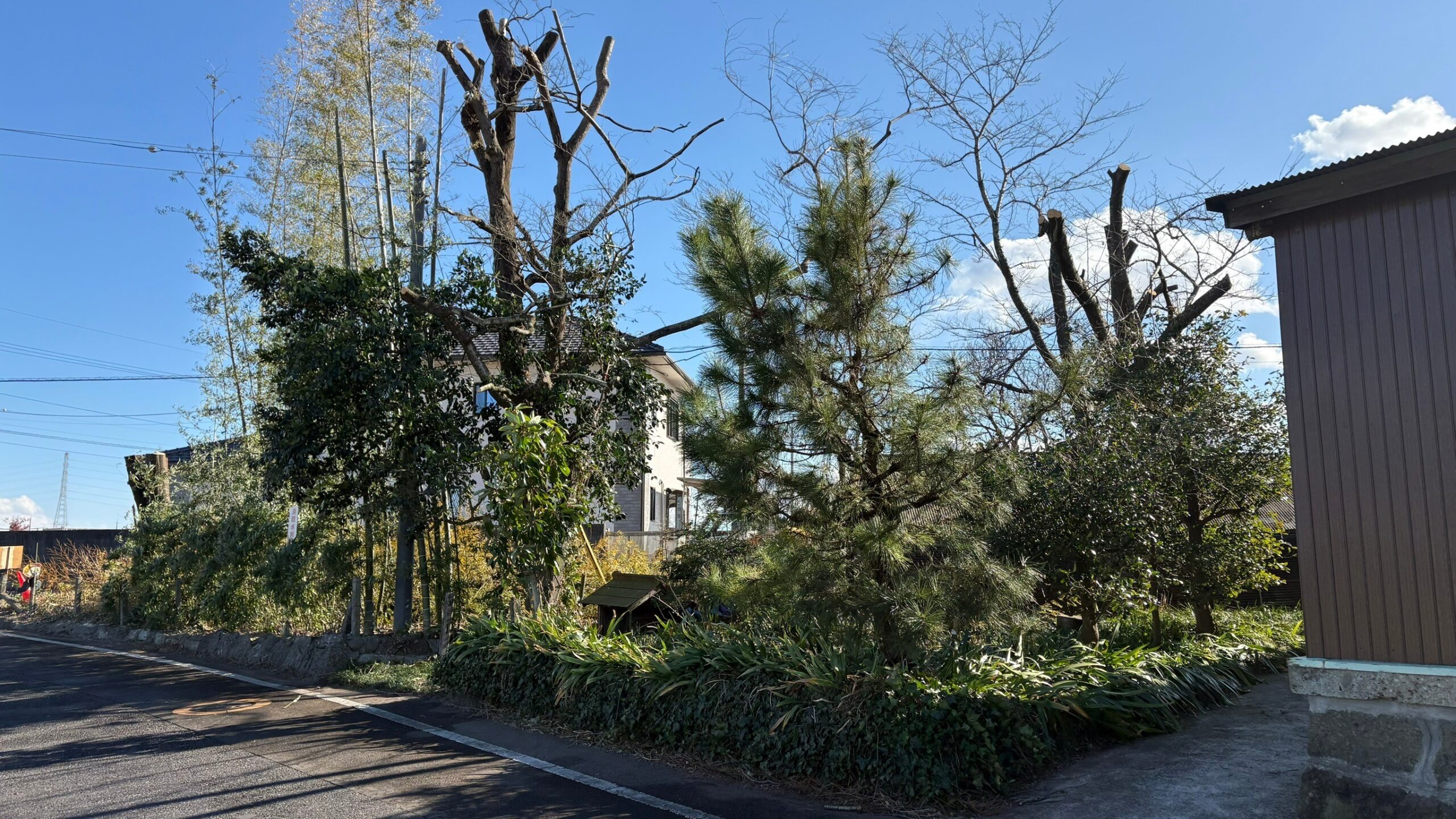 伐採・抜根／高枝下ろし ／堀新設工事 ＠栃木県佐野市