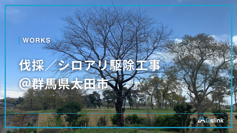 伐採／シロアリ駆除工事