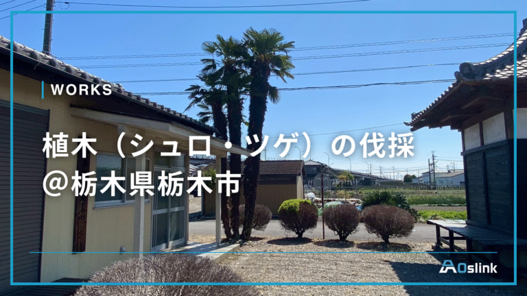 植木（シュロ・ツゲ）の伐採＠栃木県栃木市