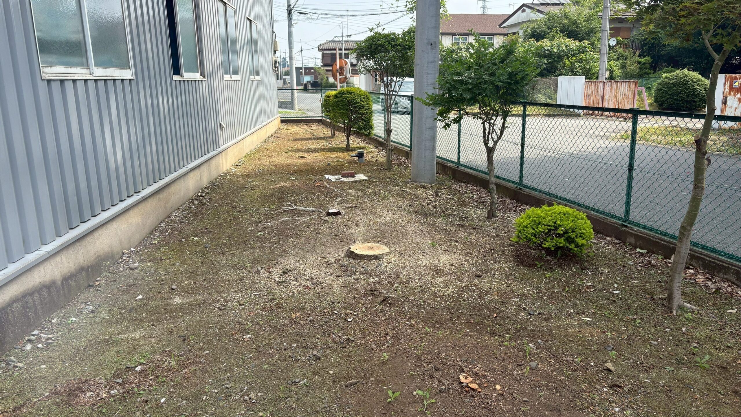 伐採工事＠茨城県古河市
