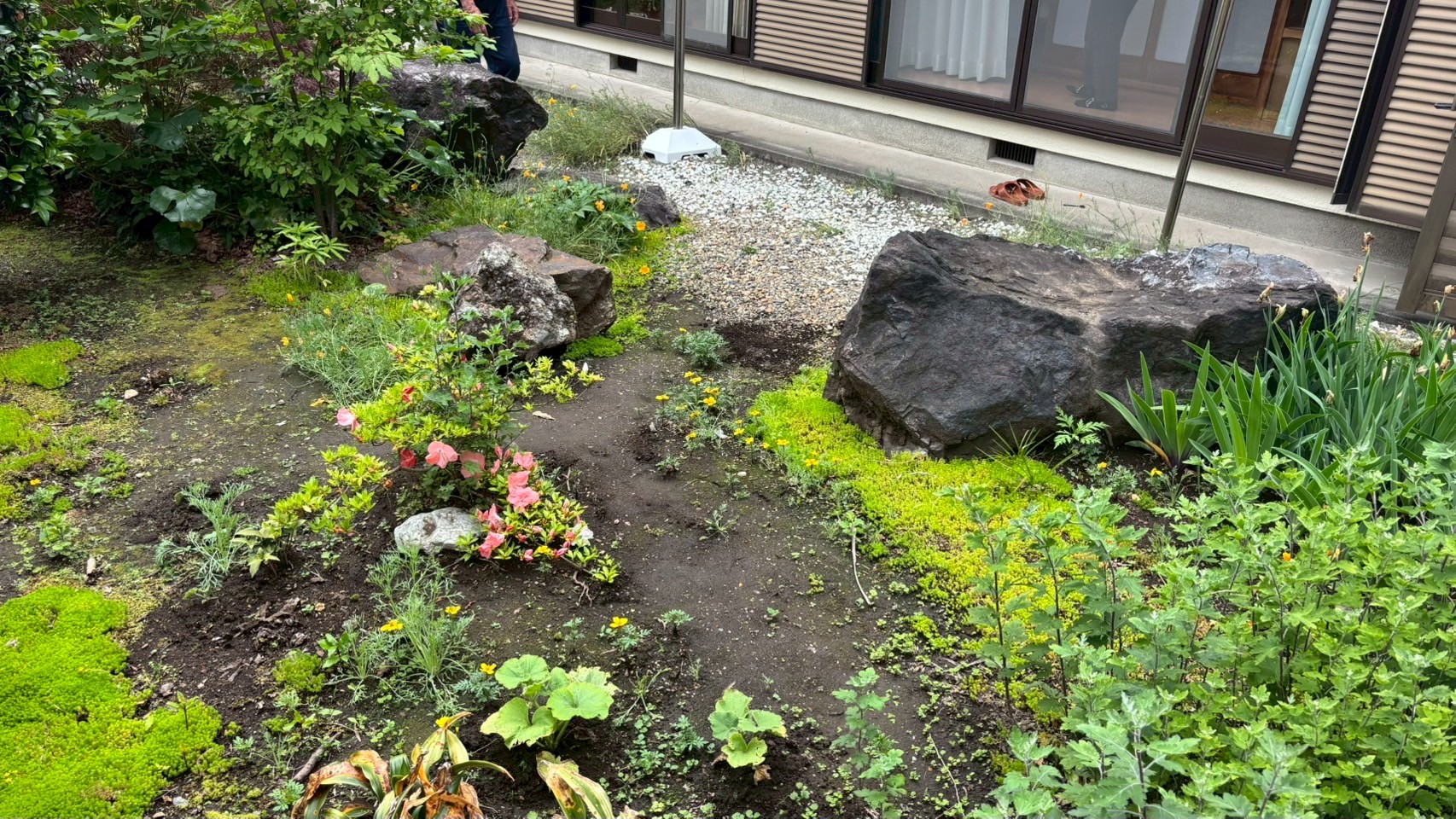 庭石撤去工事＠栃木県宇都宮市