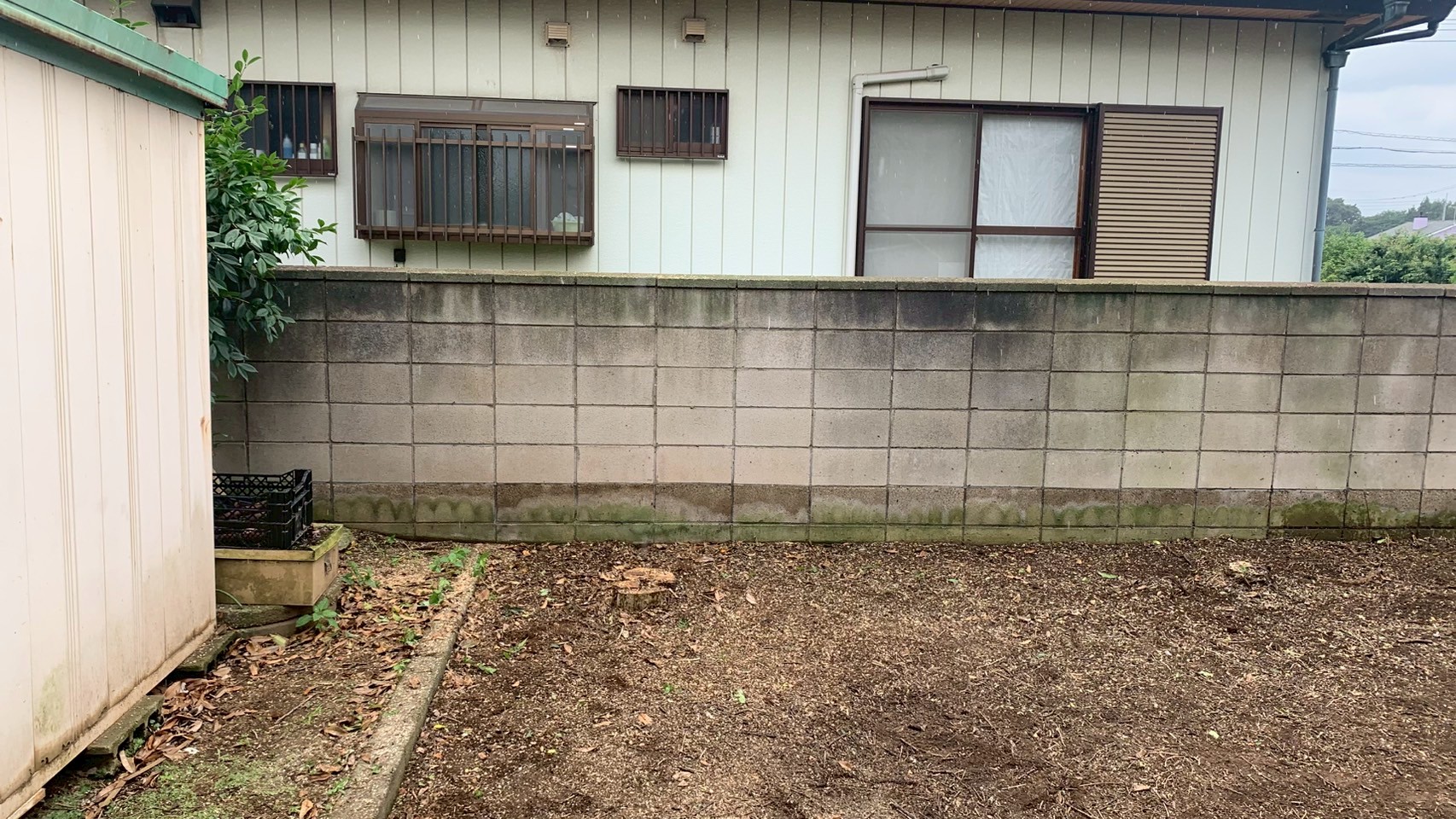 伐採工事＠茨城県古河市
