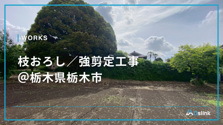 枝おろし/強剪定@栃木県栃木市
