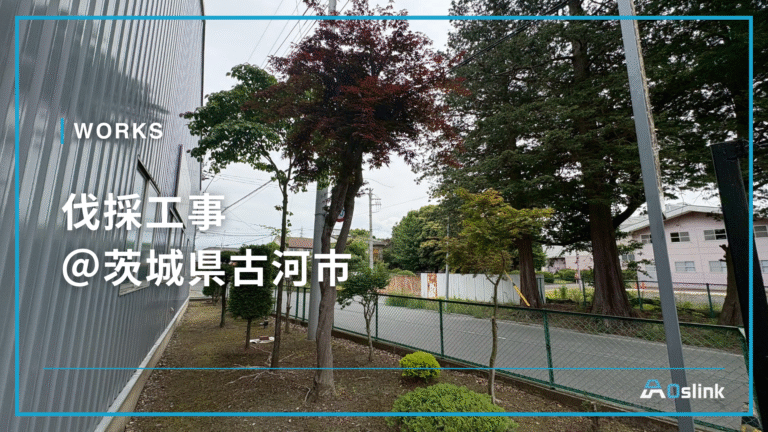 伐採工事@茨城県古河市