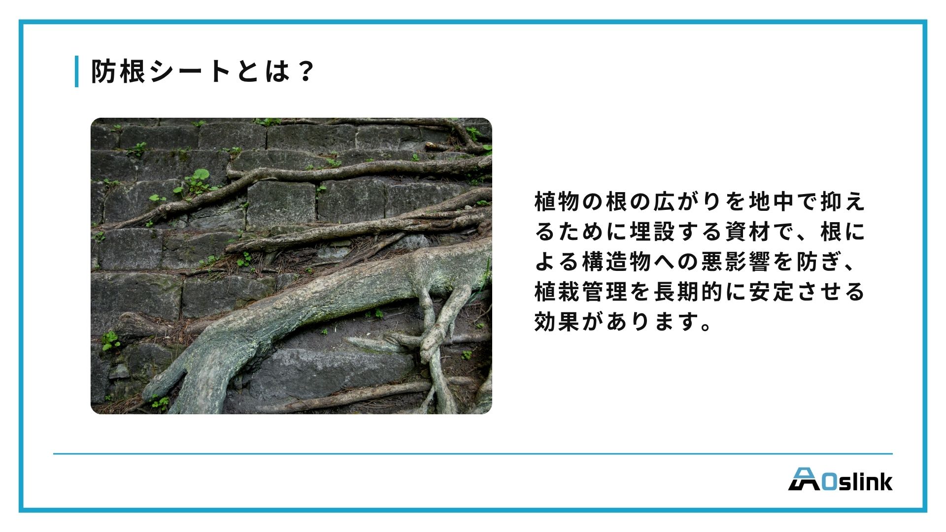 防根シートとは？