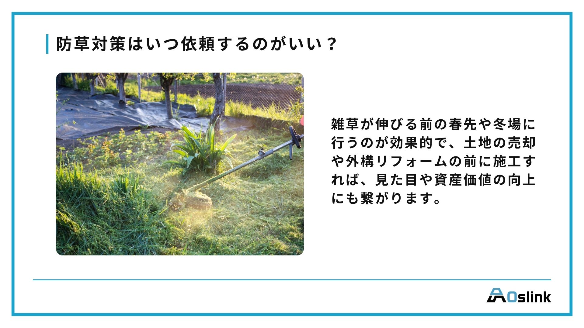 防草対策はいつ依頼するのがいい？