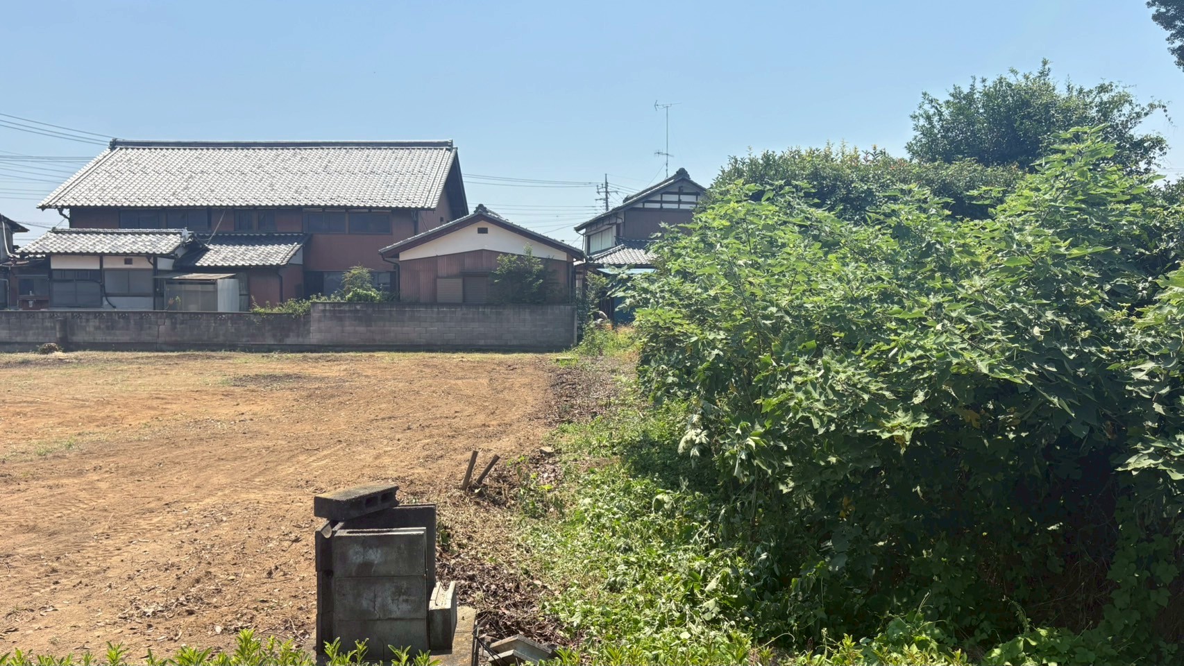 伐採・剪定工事／除草剤散布作業＠埼玉県熊谷市