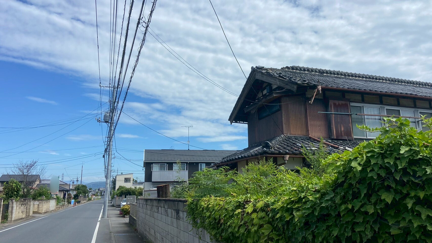 庭木伐採工事＠群馬県太田市