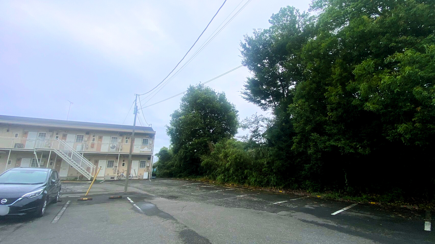 庭木伐採工事＠群馬県太田市