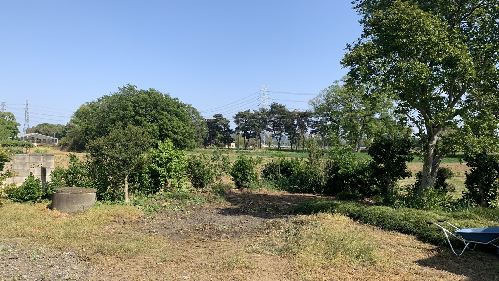 伐採・伐根工事／白アリ駆除作業＠群馬県太田市