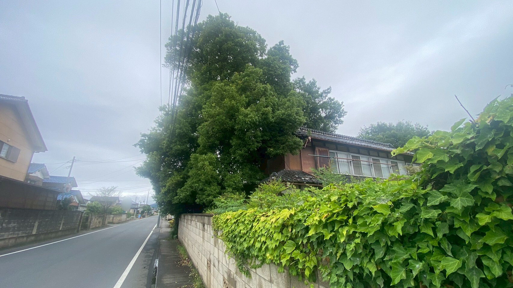 庭木伐採工事＠群馬県太田市