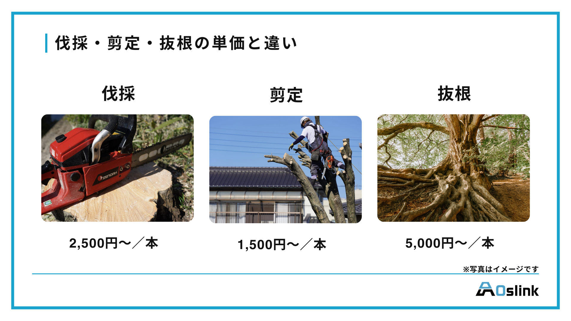 伐採・剪定・抜根の単価と違い 