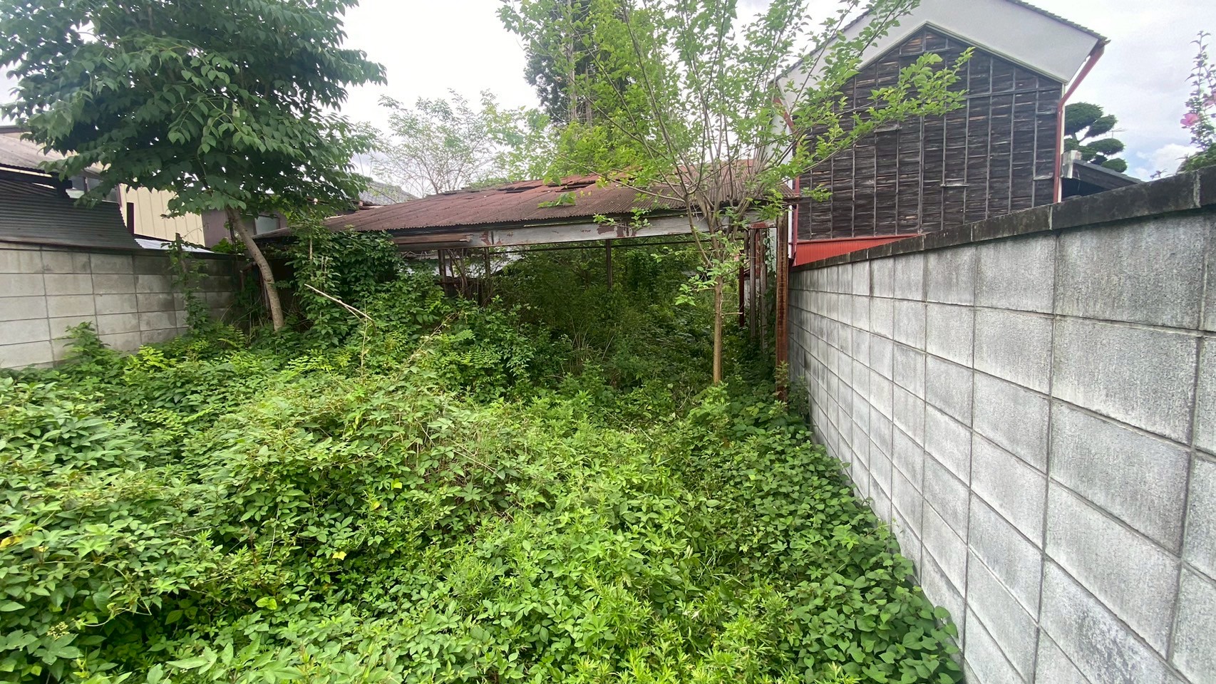 高所特殊伐採／小屋解体工事／除草整地工事＠栃木県佐野市