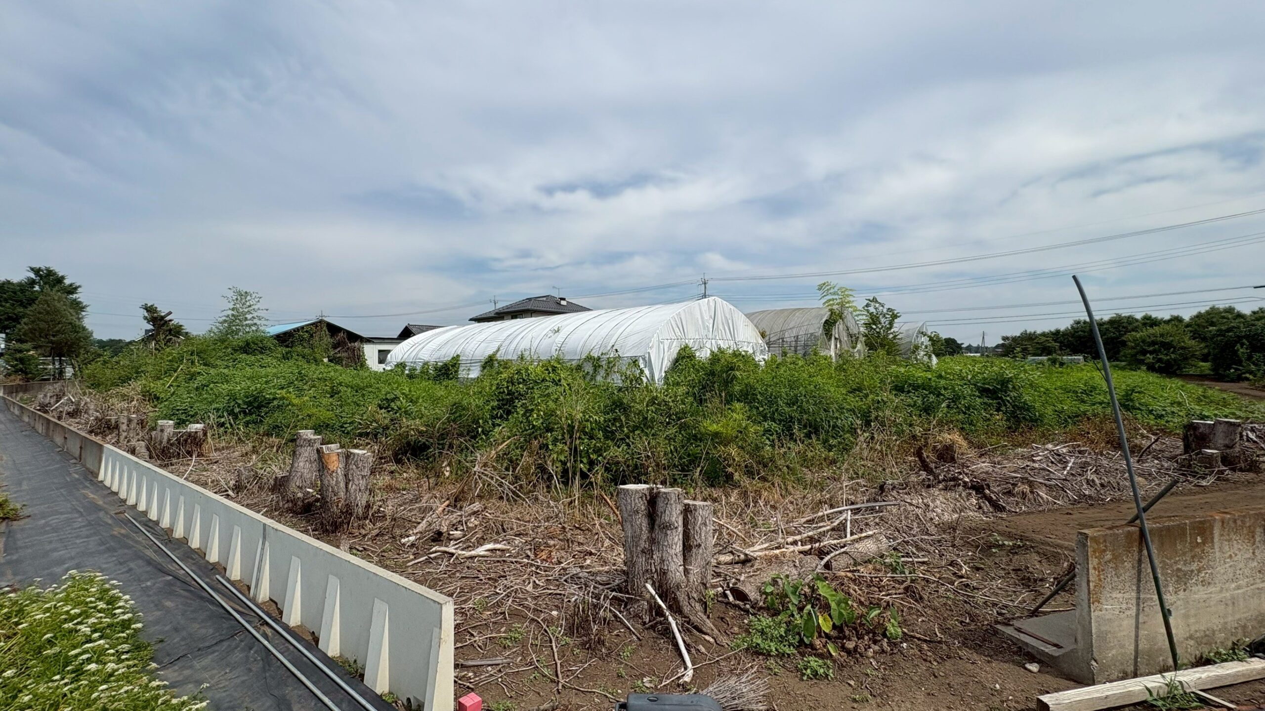 木造小屋解体／砕石舗装・天然芝新設工事＠栃木県下都賀郡壬生町