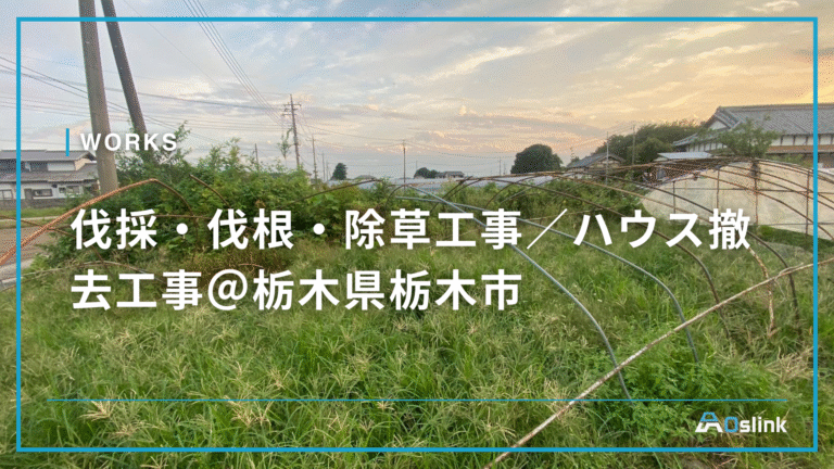 伐採・伐根・除草工事/ハウス撤去工事@栃木県栃木市