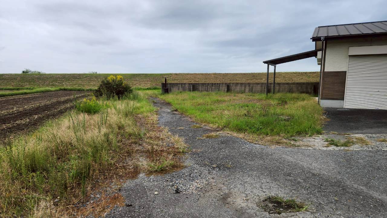 草刈り・除草剤散布作業 ＠栃木県宇都宮市