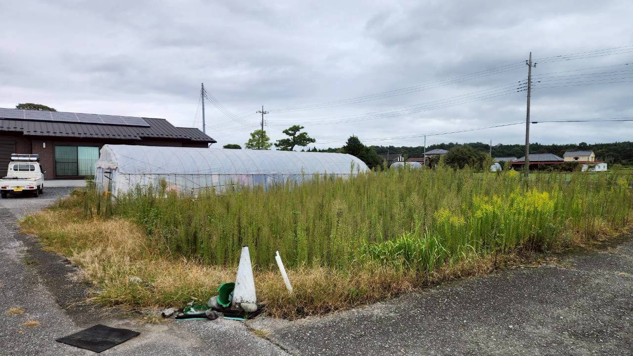 草刈り・除草剤散布作業 ＠栃木県宇都宮市