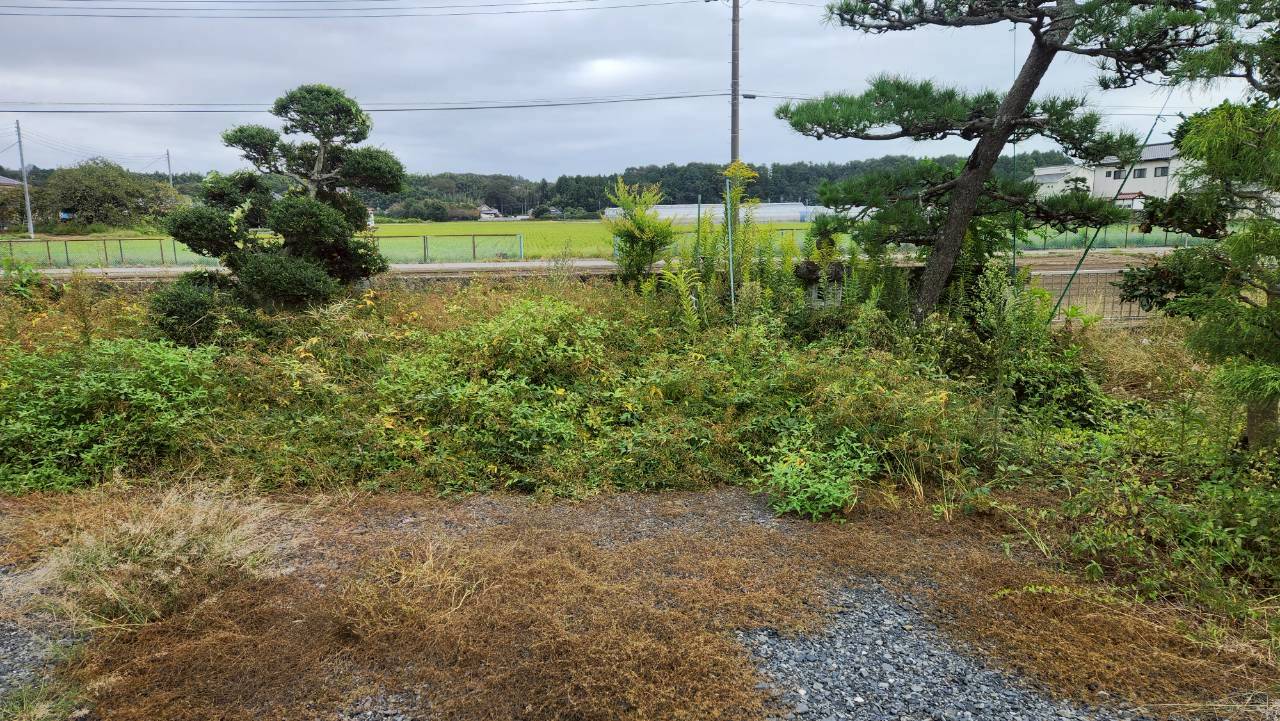 草刈り・除草剤散布作業 ＠栃木県宇都宮市