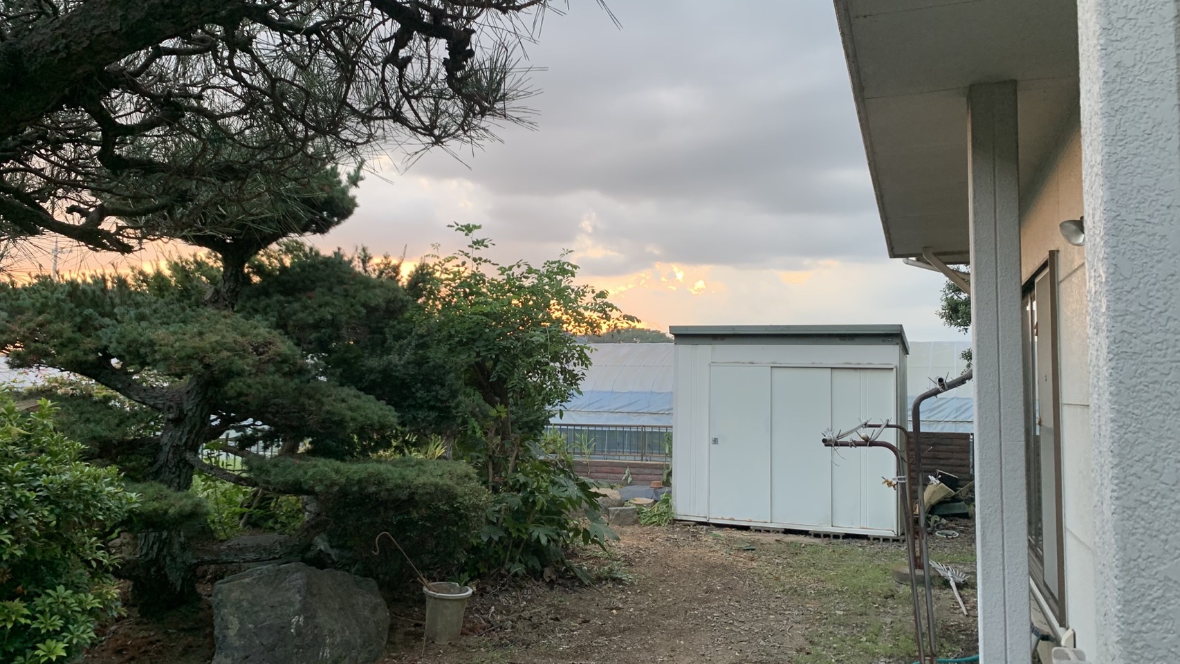 伐採工事＠栃木県栃木市