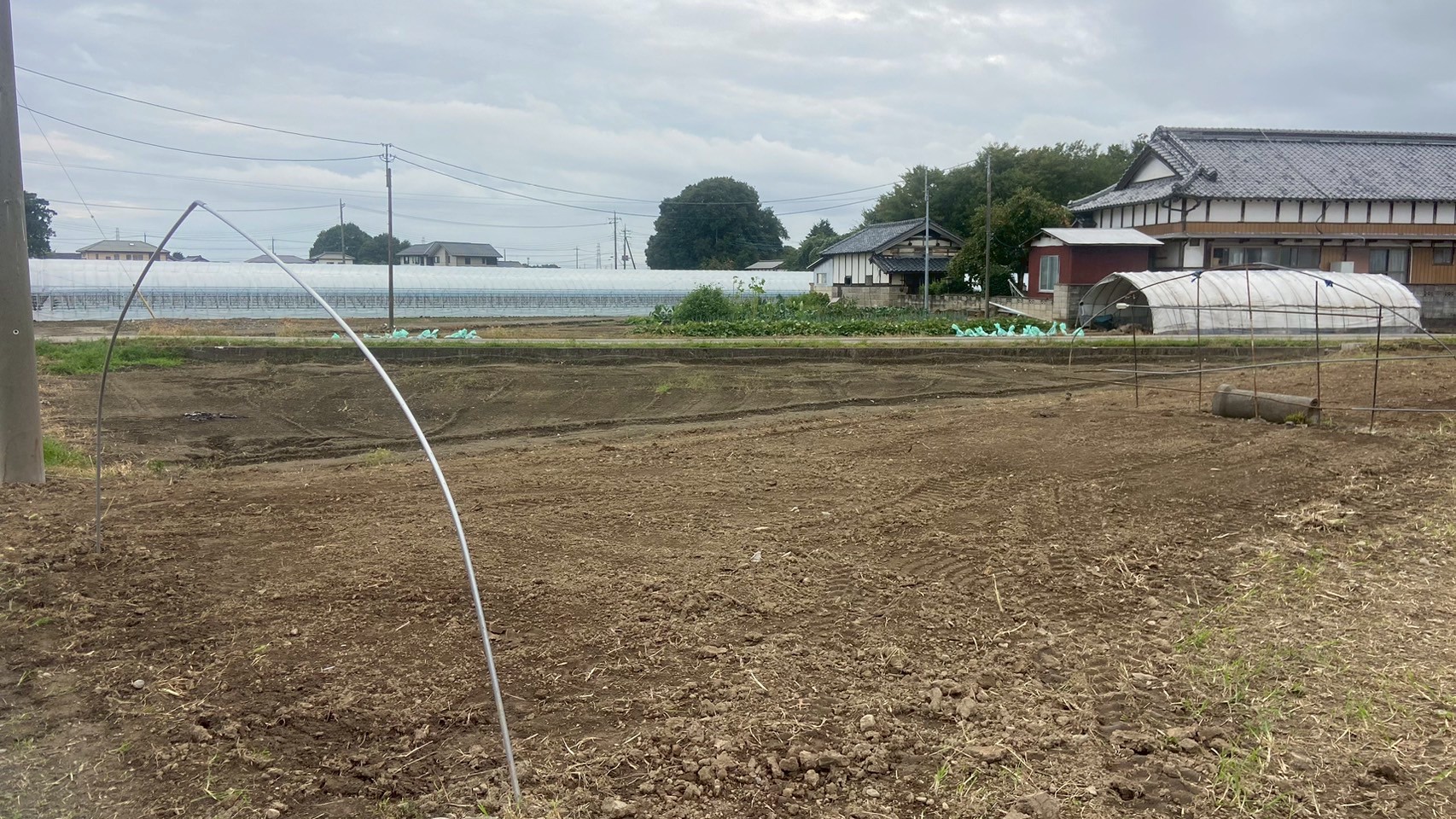 伐採・伐根・除草工事／ハウス撤去工事＠栃木県栃木市