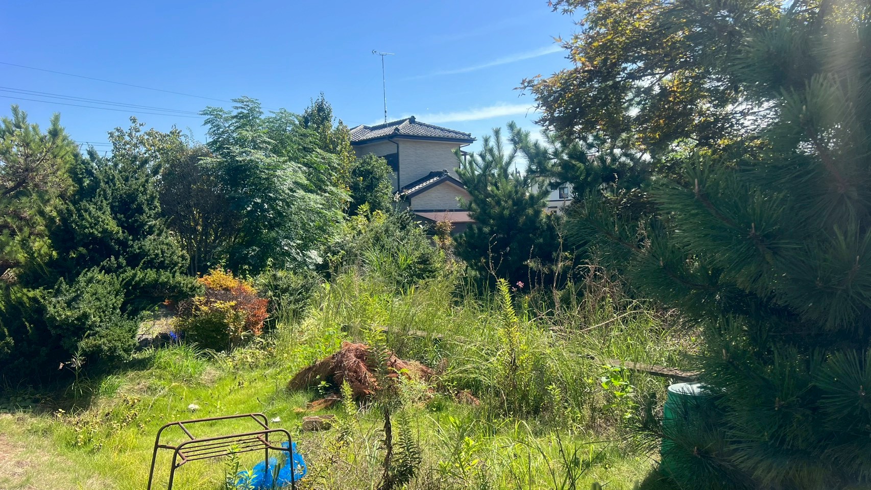 庭木の伐採／伐根／草刈り＠栃木県栃木市