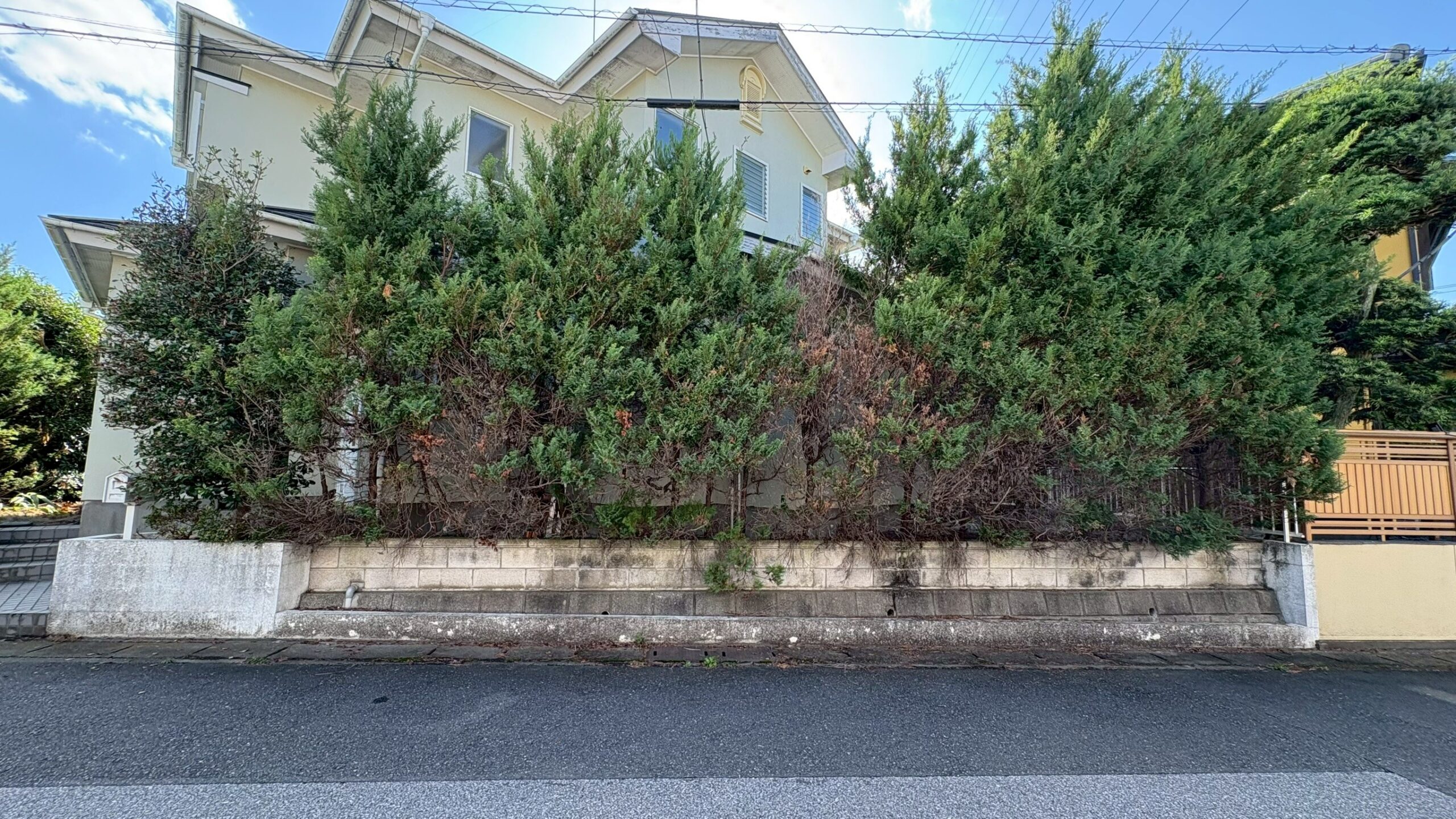 伐採・伐根工事／フェンス・門扉新設工事＠栃木県栃木市