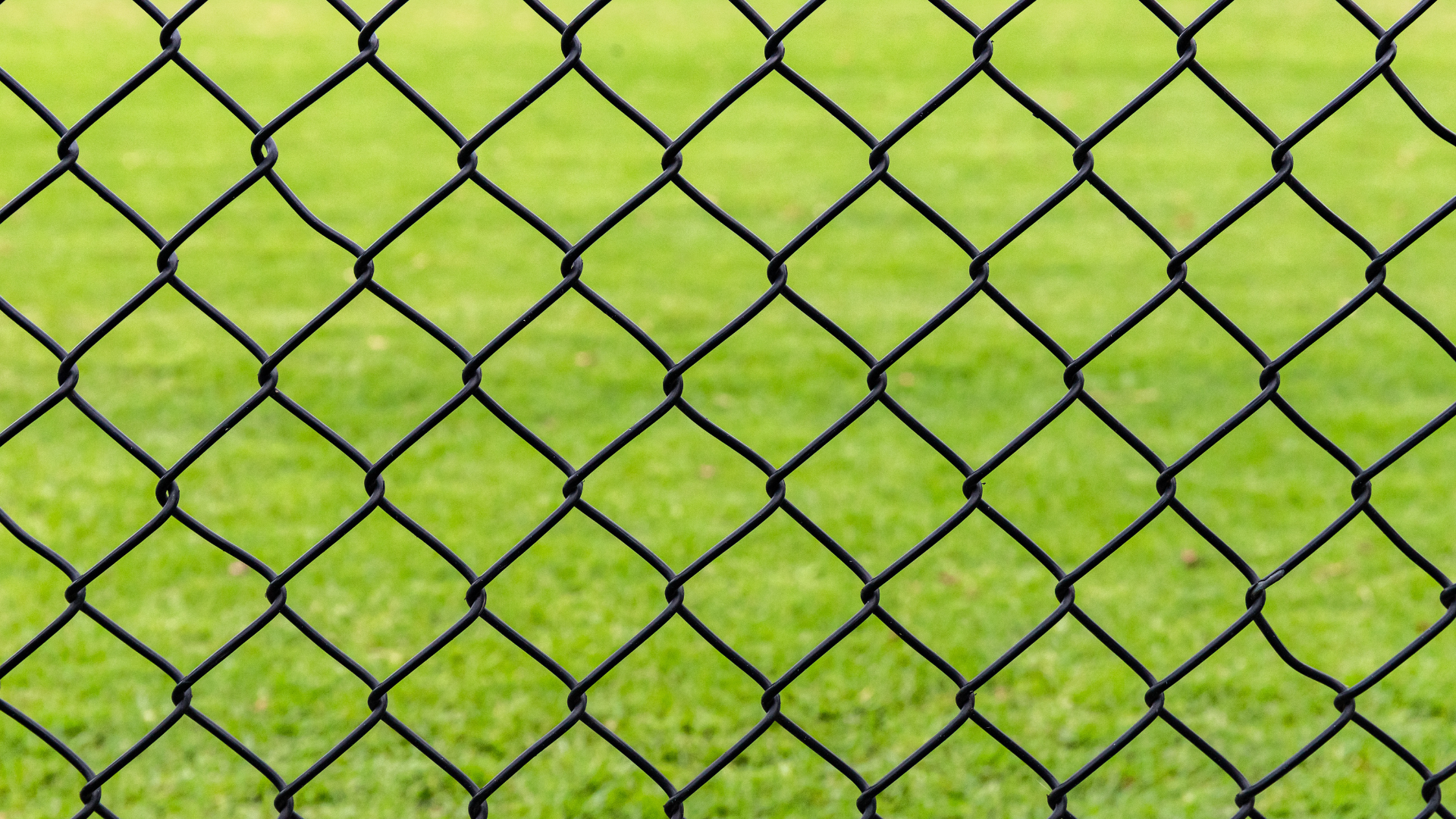 防風フェンス　通常のフェンス