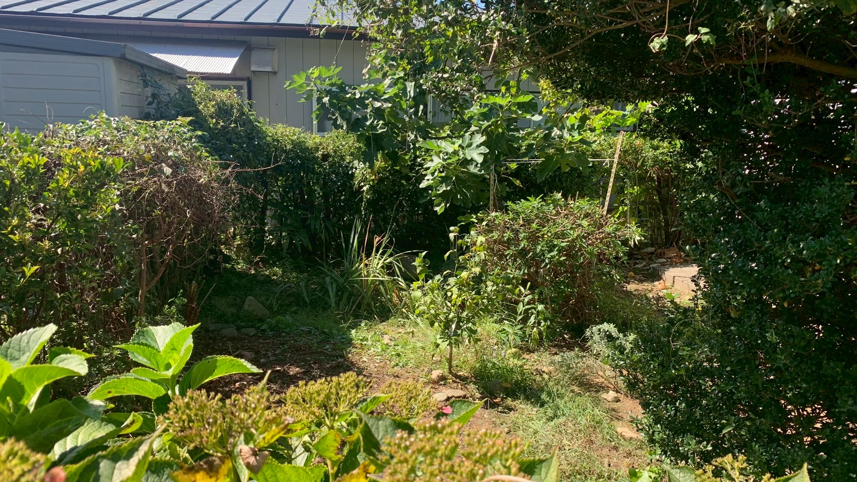 伐採・伐根工事／人工芝敷設工事 ＠栃木県那須塩原市