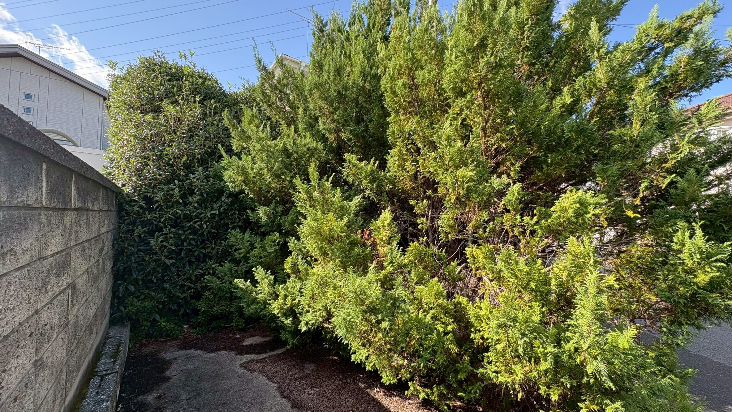 伐採・伐根工事／フェンス・門扉新設工事＠栃木県栃木市