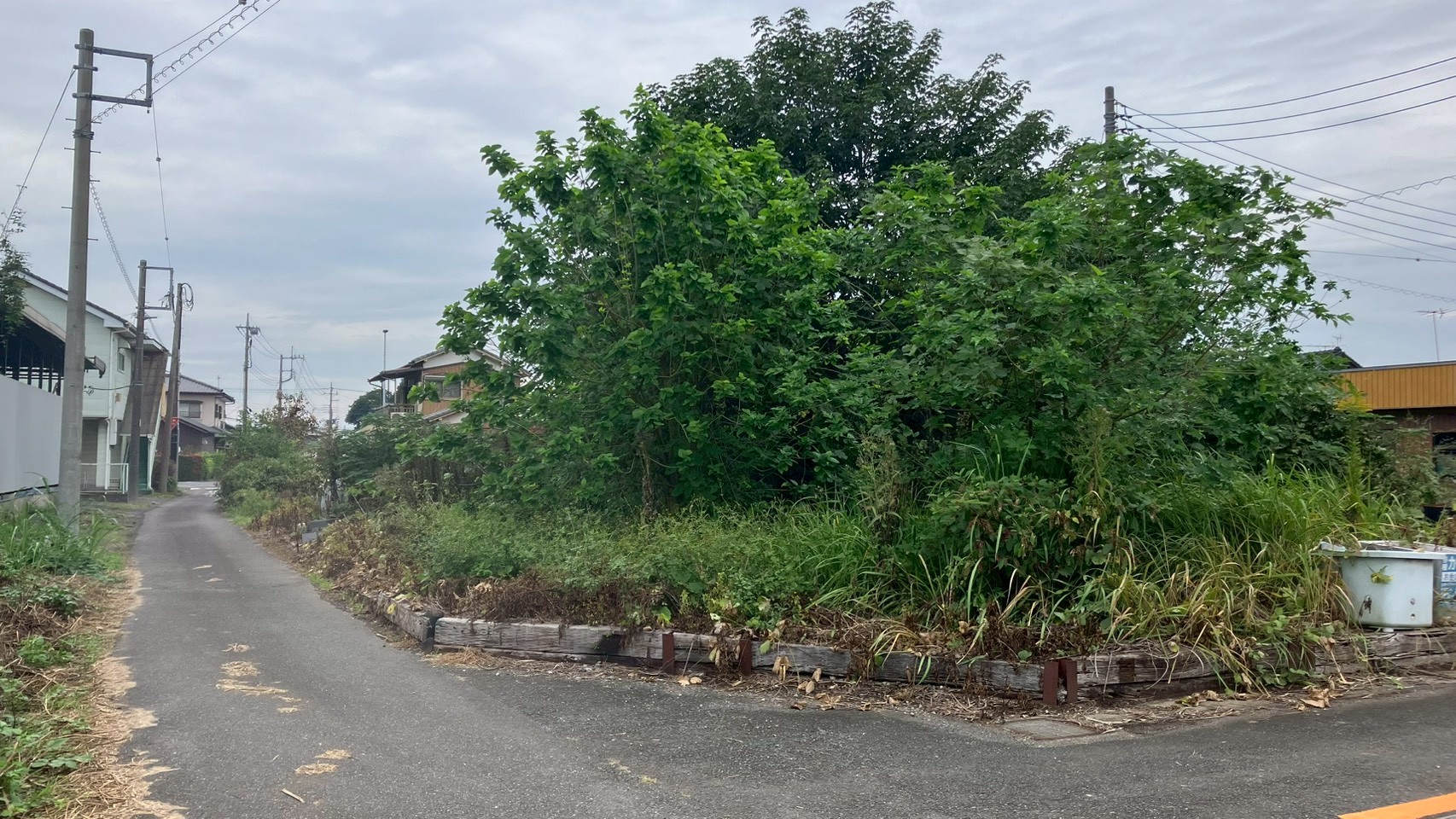 草刈り／樹木伐採工事 ＠栃木県下都賀郡野木町