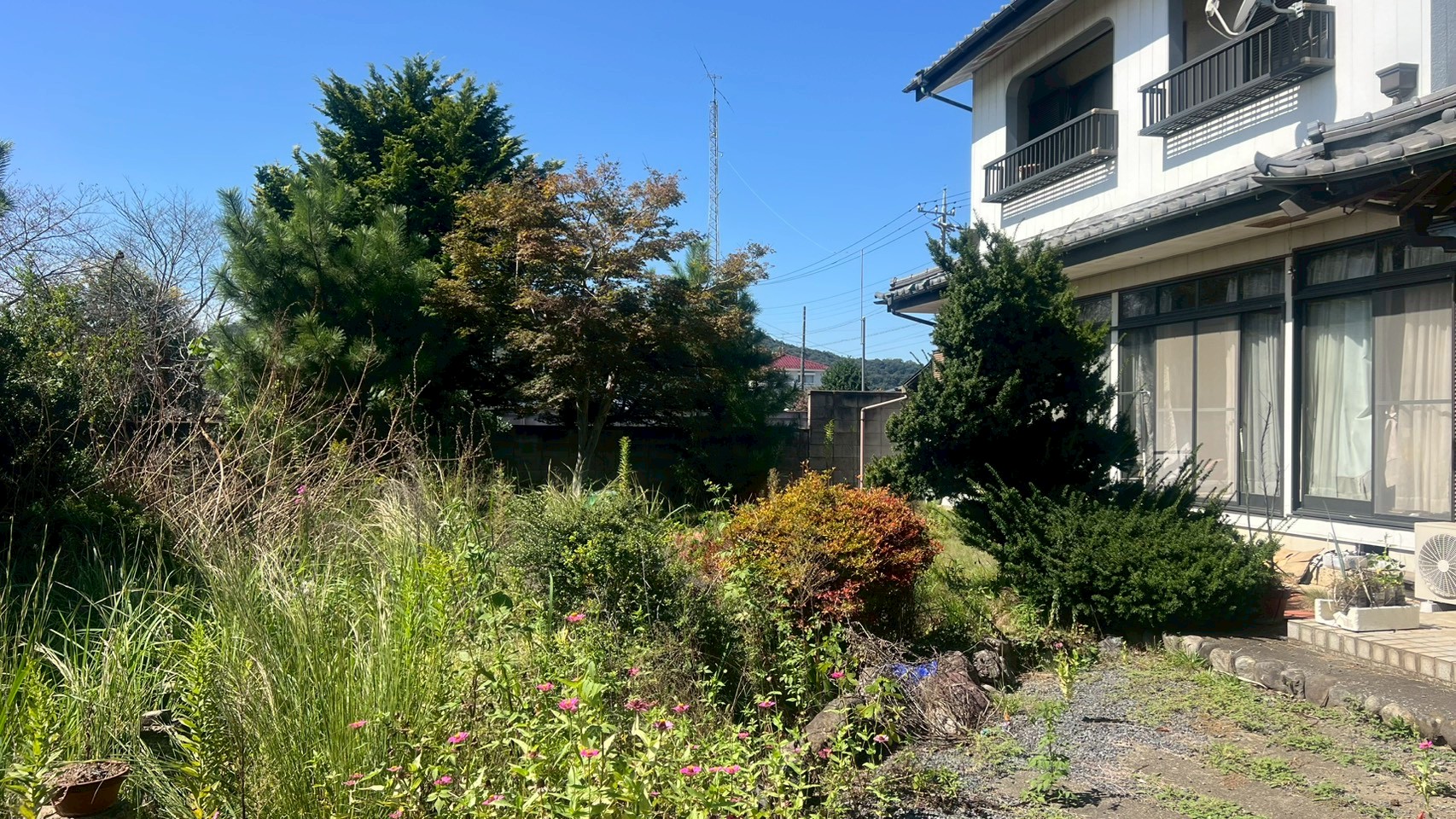 庭木の伐採／伐根／草刈り＠栃木県栃木市