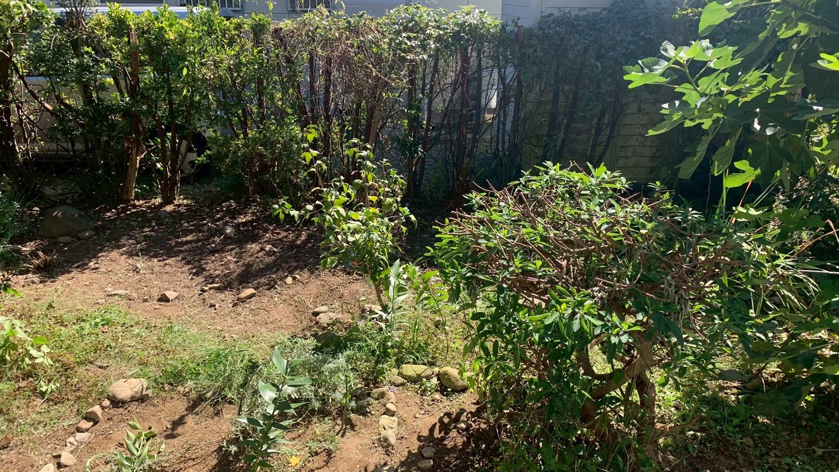 伐採・伐根工事／人工芝敷設工事 ＠栃木県那須塩原市