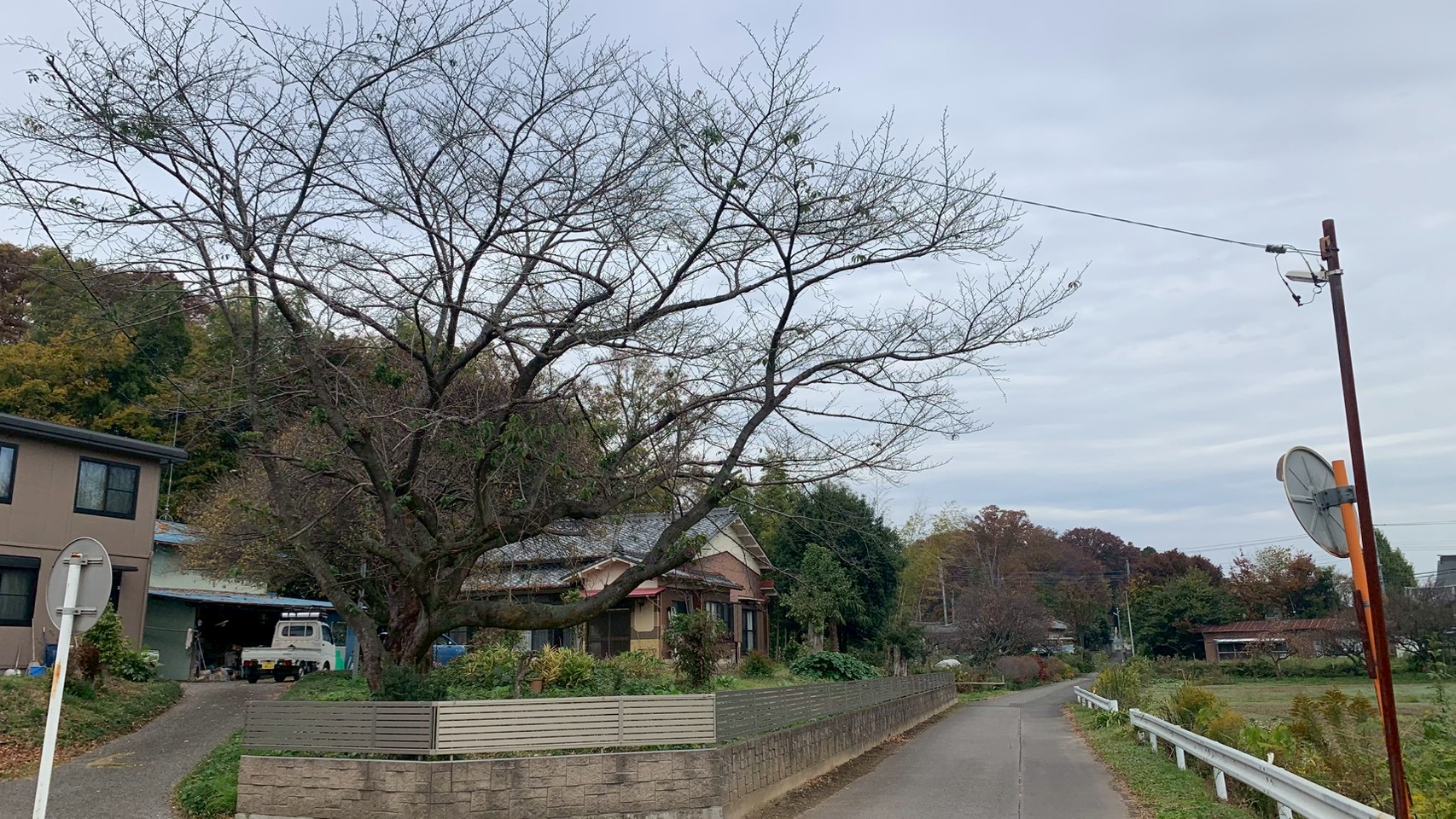 伐採工事＠栃木県下都賀郡野木町