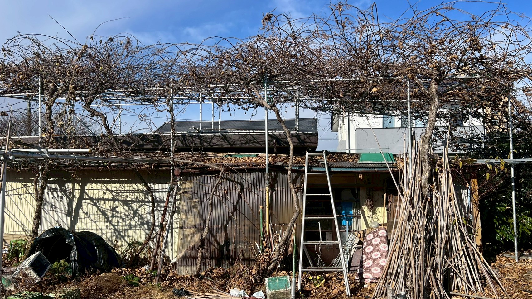 樹木伐採／足場解体撤去・新設工事＠栃木県那須塩原市