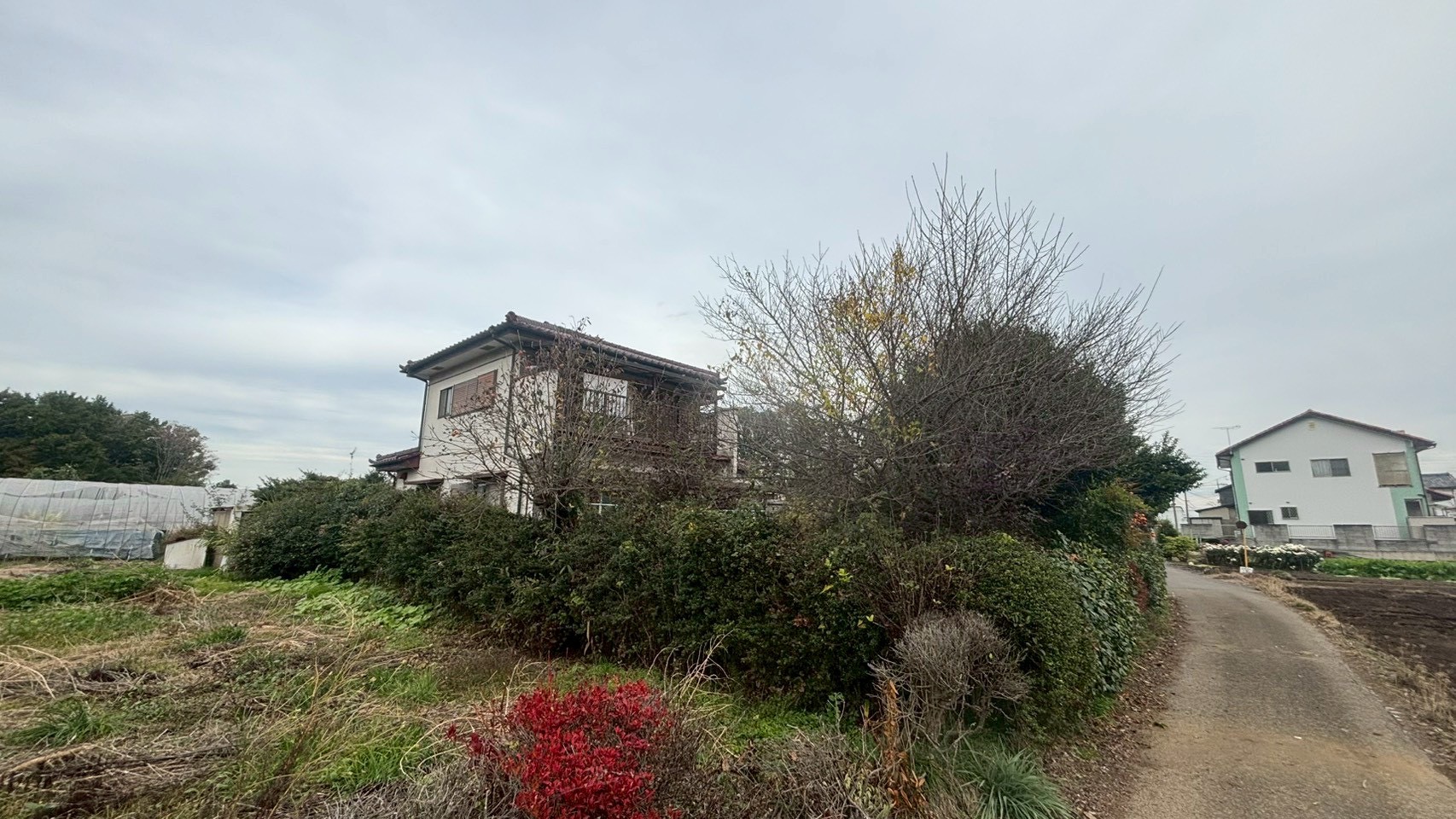 庭木伐採・剪定＠栃木県下野市