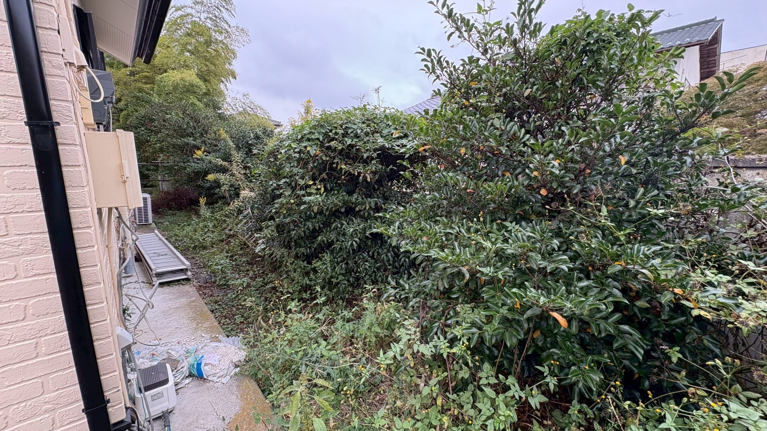 草刈り／伐採工事＠群馬県みどり市