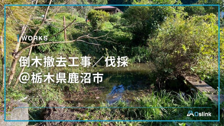 倒木撤去工事/伐採 @栃木県鹿沼市