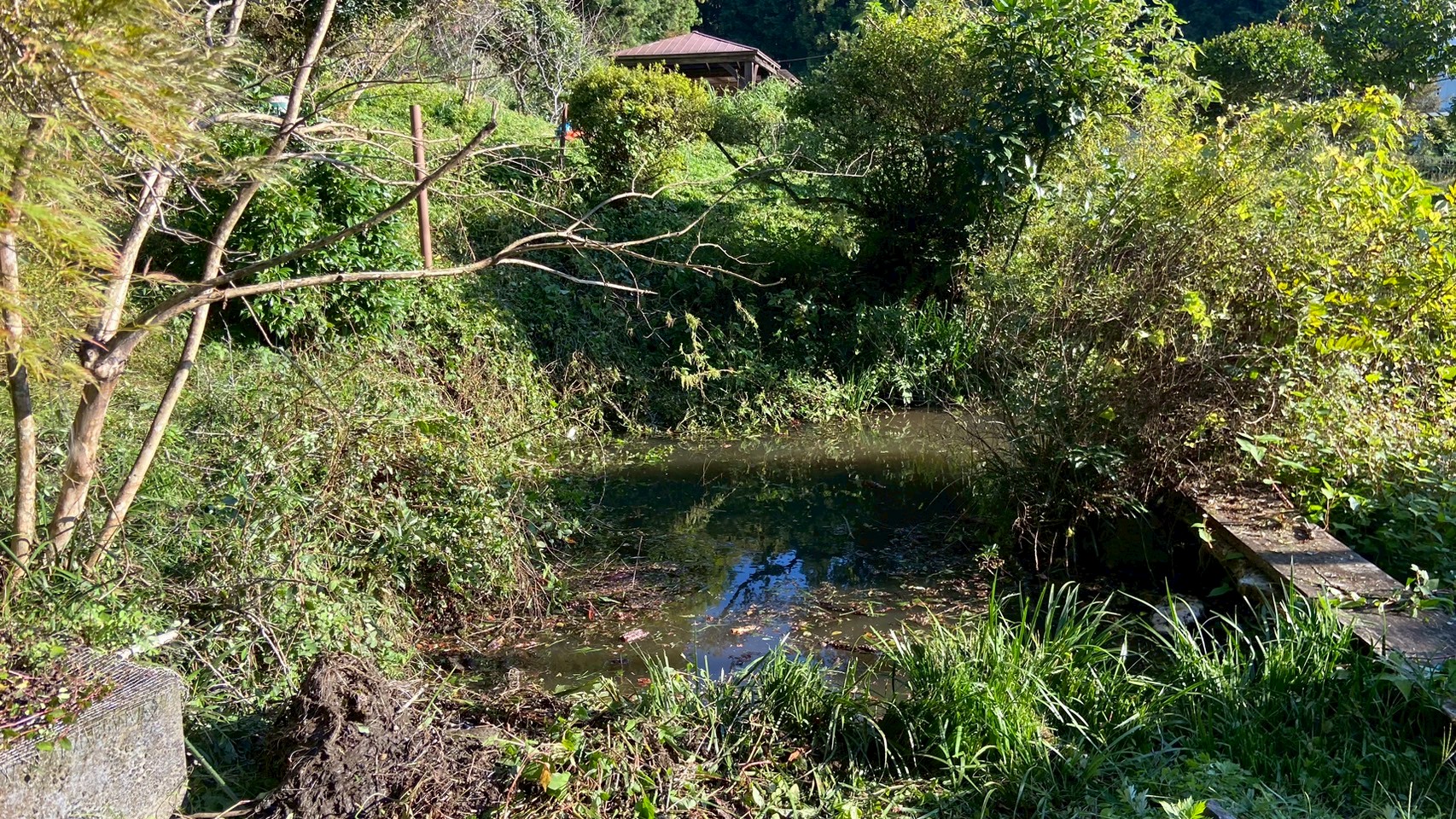 倒木撤去工事／伐採 ＠栃木県鹿沼市