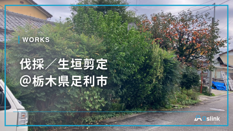 伐採／生垣剪定 ＠栃木県足利市