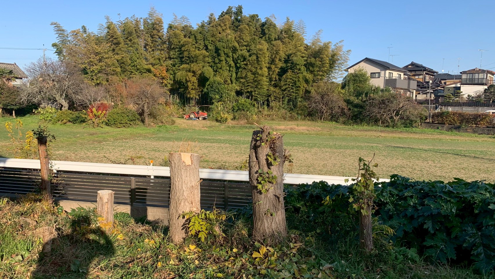 伐採工事＠栃木県下都賀郡野木町