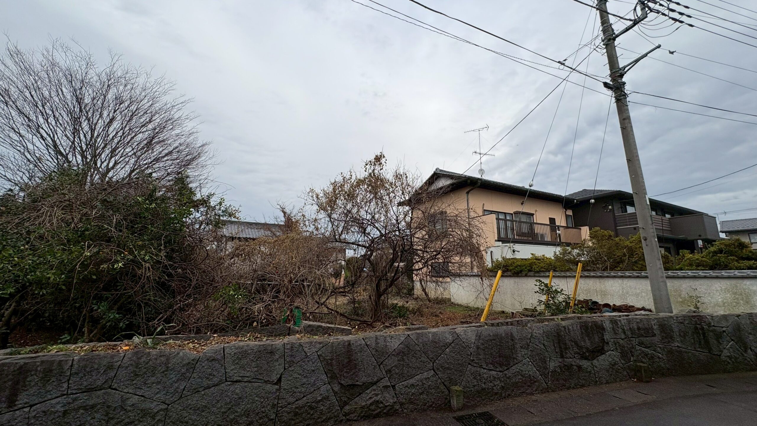 伐採工事 ＠茨城県筑西市