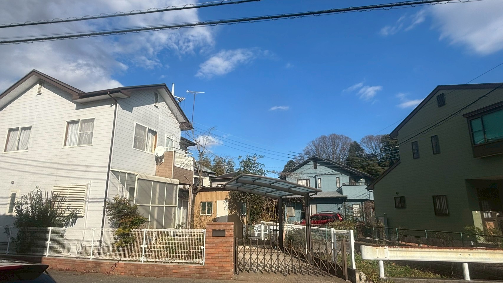 庭木伐採・剪定／草刈り作業＠栃木県宇都宮市