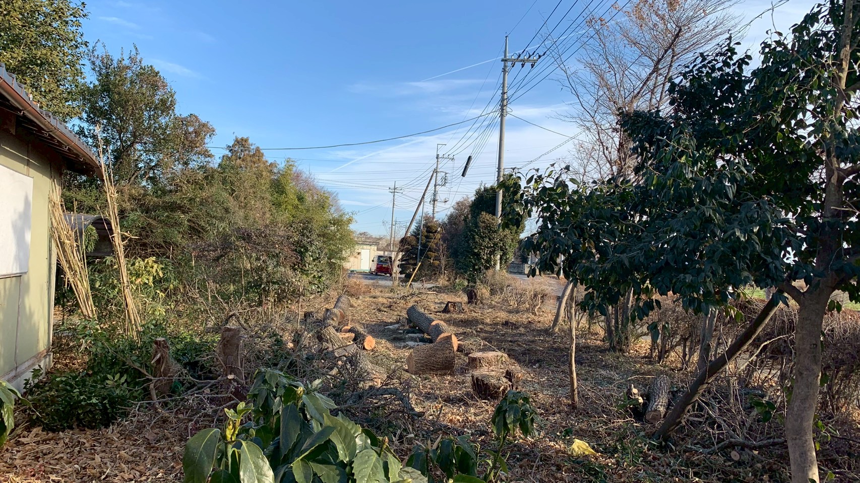 伐採工事 @栃木県下都賀郡壬生町