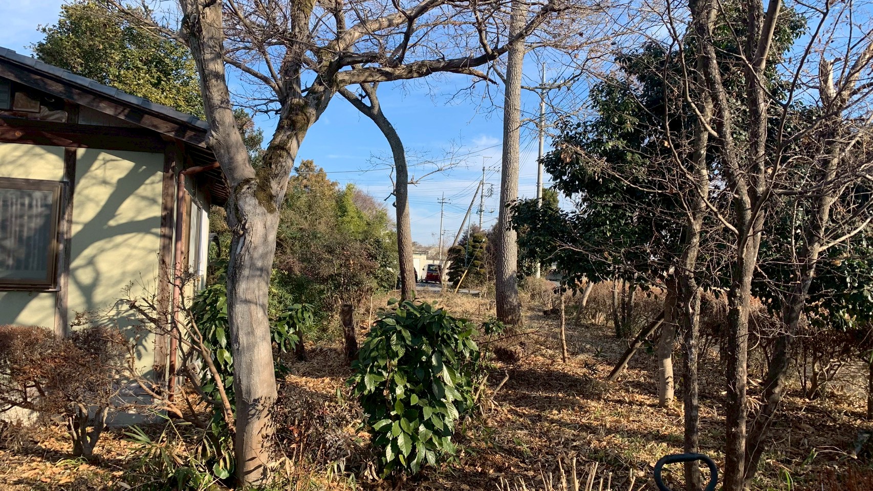 伐採工事 @栃木県下都賀郡壬生町