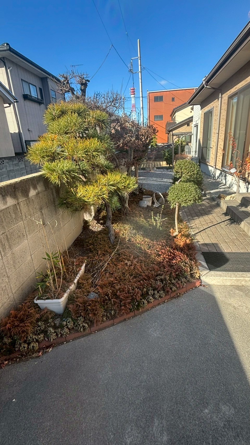 伐根／整地／防草シート敷設工事 ＠栃木県小山市